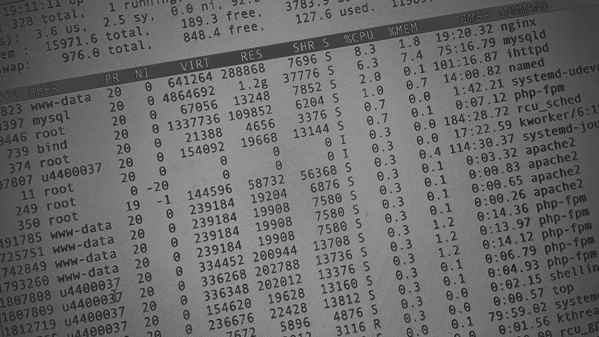 Настройка сервера в Курчатове